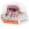 Hexbug Beetle Assorted 1 Hexbug Beetle Assorted -Gibsons Sales Store 48811 36905