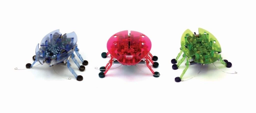 Hexbug Beetle Assorted 4 Hexbug Beetle Assorted - Image 2